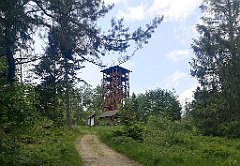 096_p20_IMG_20230620_125628