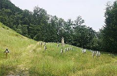 015_p20_IMG_20230621_140204