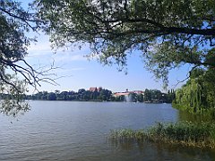 070_p20_IMG_20230708_164324