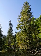 016_p20_IMG_20250616_081054