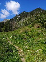 032_p20_IMG_20250616_090716