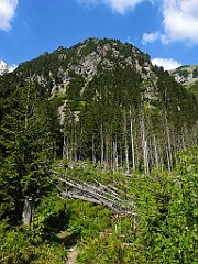 047_p20_IMG_20250616_094630