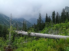 091_p20_IMG_20250616_130956