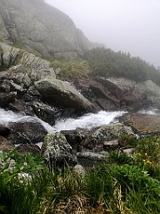 034_p20_IMG_20250617_112852