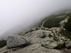 037_p20_IMG_20250617_114143