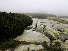 047_p20_IMG_20250617_120839