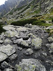 179_p20_IMG_20250617_155452