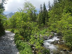 037_p20_IMG_20250618_122320