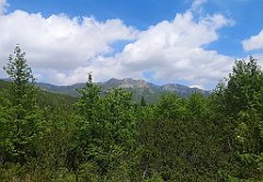 052_p20_IMG_20250618_124425