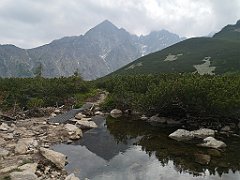 109_p20_IMG_20250618_145121