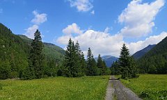 025_p20_IMG_20250619_095039