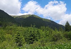 062_p20_IMG_20250619_111635