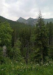 070_p20_IMG_20250619_122157