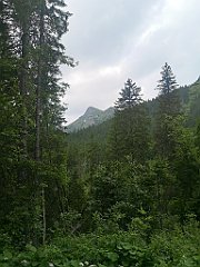 074_p20_IMG_20250619_122918