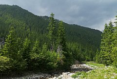 108_p20_IMG_20250619_145732