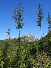 006_p20_IMG_20250620_091655