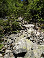 011_p20_IMG_20250620_094024