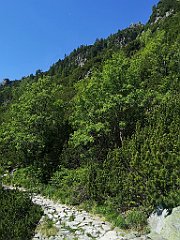 027_p20_IMG_20250620_095440