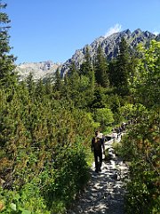 034_p20_IMG_20250620_100554