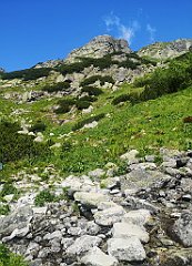 056_p20_IMG_20250620_110518