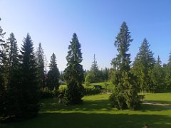 005_p20_IMG_20250621_074818