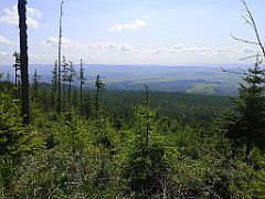 012_p20_IMG_20250621_101132