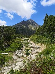 050_p20_IMG_20250621_120116