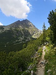 051_p20_IMG_20250621_120322