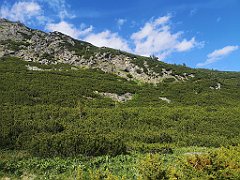 149_p20_IMG_20250621_161852