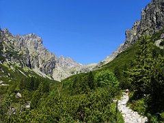 096_p20_IMG_20250622_112026