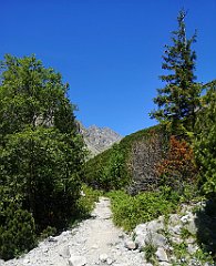 100_p20_IMG_20250622_112318