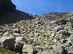 183_p20_IMG_20250622_125755