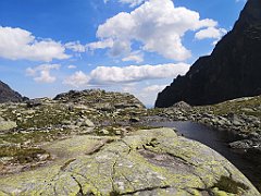 264_p20_IMG_20250622_143750