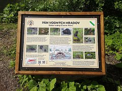 018_p20_IMG_20250623_104036