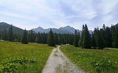 024_p20_IMG_20250623_104711