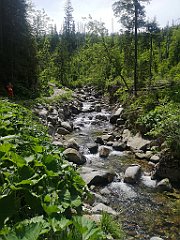 032_p20_IMG_20250623_112825