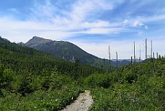 037_p20_IMG_20250623_115301