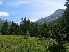 048_p20_IMG_20250623_123902