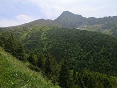 080_p20_IMG_20250623_133442