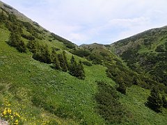 084_p20_IMG_20250623_134143