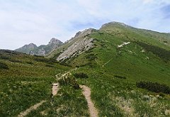 100_p20_IMG_20250623_140549