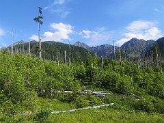 145_p20_IMG_20250623_164035