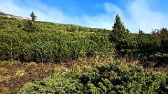 x14_IMG_20251008_100803