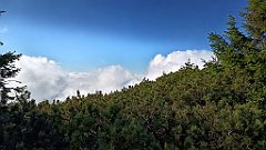 x14_IMG_20251008_100903