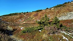 x14_IMG_20251008_102631