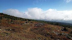 x14_IMG_20251008_103336