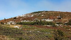 x14_IMG_20251008_104050