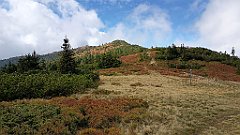 x14_IMG_20251008_124347