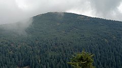 x14_IMG_20251008_142043