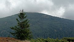 x14_IMG_20251008_142234